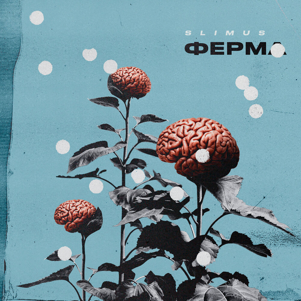 SLIMUS — Ядерный отсек