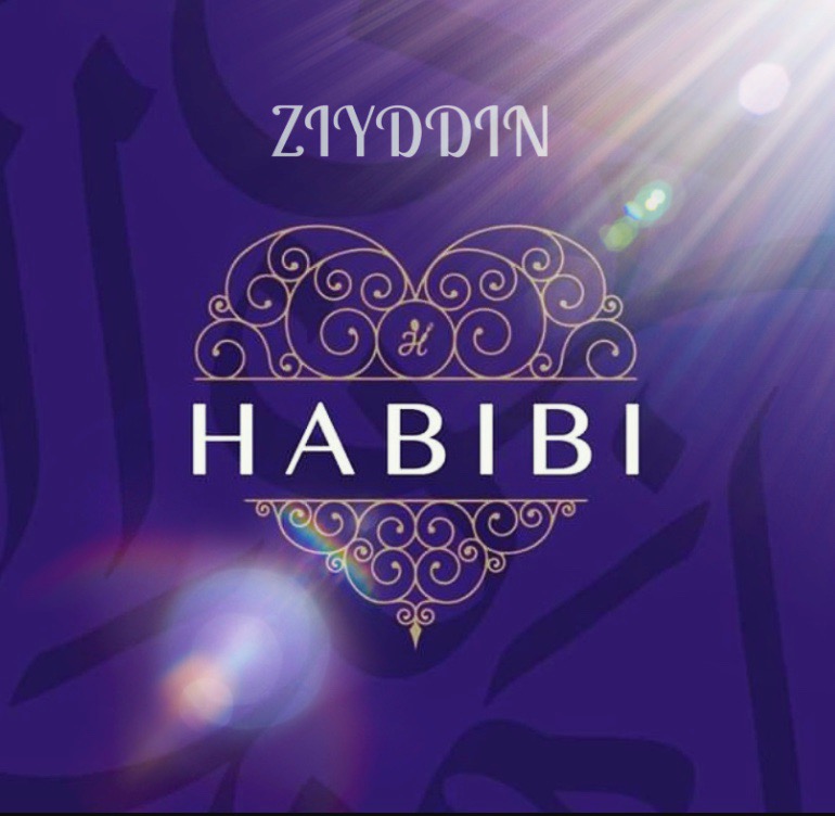 ZIYDDIN — HABIBI