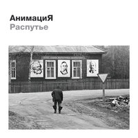 АнимациЯ — Журавли