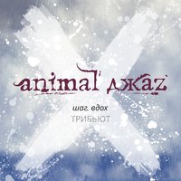 Animal ДжаZ & [Amatory] — Думать дважды