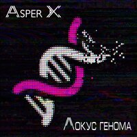 Asper X — Локус генома