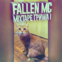 Fallen MC — Инсомния