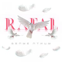 Rafal — Белые птицы