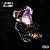 TVOIGREH & Resowall — Grape Bucanero