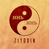 Ziyddin — Инь и янь