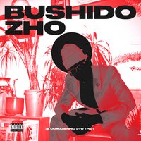 BUSHIDO ZHO — Что ты базаришь