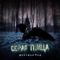 Дмитрий Рид — Серая птица