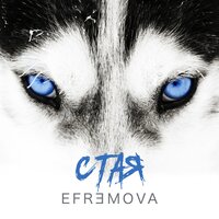 Efremova — Стая