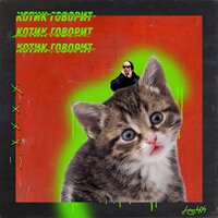 Юг 404 — Котик говорит