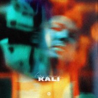 KALI — Занят делами