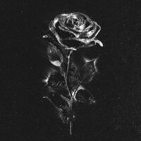 Maryana Ro — Чёрные розы