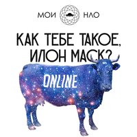 Мои НЛО — Как тебе такое, Илон Маск?