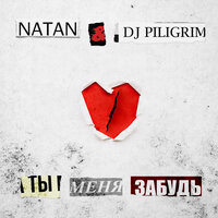 Natan & DJ Piligrim — Ты меня забудь