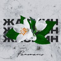 PANOMARIS — Жасмин