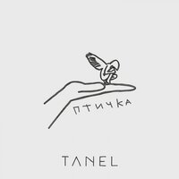 Tanel — Птичка