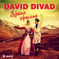 David Divad — Яркие крылья