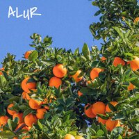 ALUR & U — WLUM