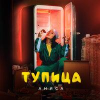 Аниса — Тупица