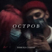 Тимоха Сушин — Остров