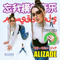 ALIZADE — Контроль