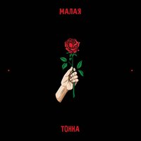 Тонна — Малая