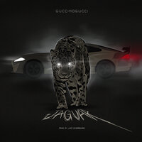 GucciMogucci — Jaguar