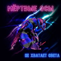 Мёртвые Осы — Не хватает света