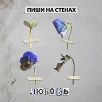 ПИШИ НА СТЕНАХ — Любовь