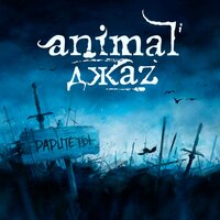 Animal ДжаZ — Новый год 2010