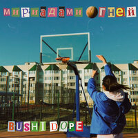 Bushi Dope — МИРИАДАМИ ОГНЕЙ