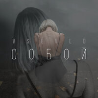 Vsevld — Собой