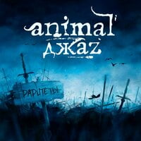 Animal ДжаZ — Листай эфир