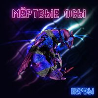 Мёртвые Осы — Нервы