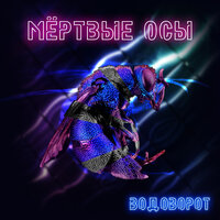 Мёртвые Осы — Водоворот