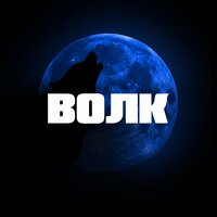 Тестостерович — Волк