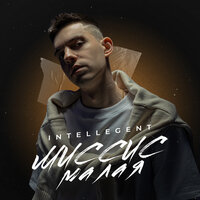 INtellegent — Миссис малая