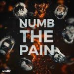 Numb the pain — Clarx