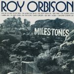 Blue rain (coming down) — Roy Orbison (Рой Орбисон)