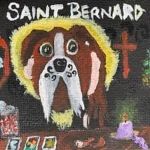 Saint Bernard — Lincoln