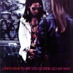 Are you gonna go my way — Lenny Kravitz