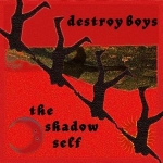 Shadow (I'm breaking down) — Destroy Boys