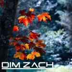 Bruttissima, bellissima (You're my everything) — Dim Zach