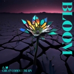 Bloom — Cheat Codes